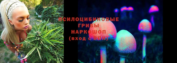a pvp Алзамай