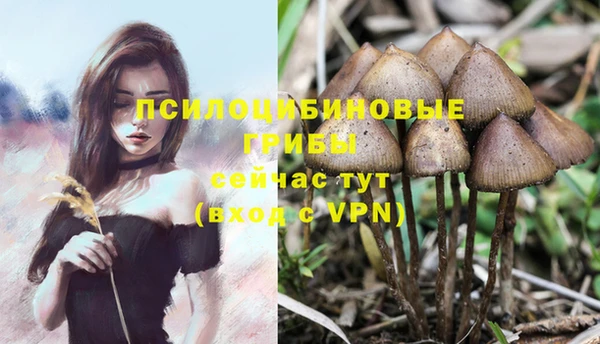 a pvp Алзамай