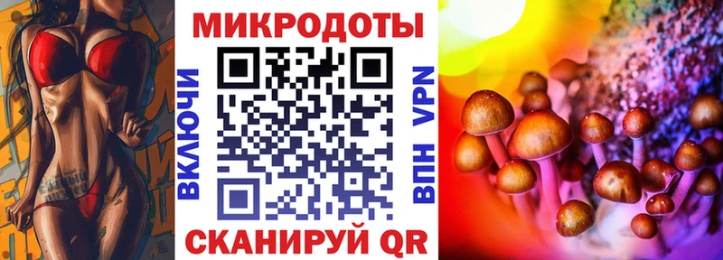 где можно купить наркотик  Тара  Галлюциногенные грибы Psilocybine cubensis 