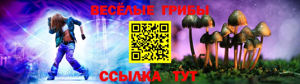 Тара  Галлюциногенные грибы Cubensis  Вход с VPN 