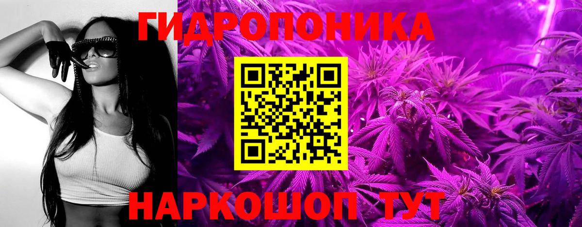 Марихуана гибрид  Бошки Шишки тримм  Бошки Шишки VHQ  Вход с VPN  Шишки марихуана VHQ  Тара 